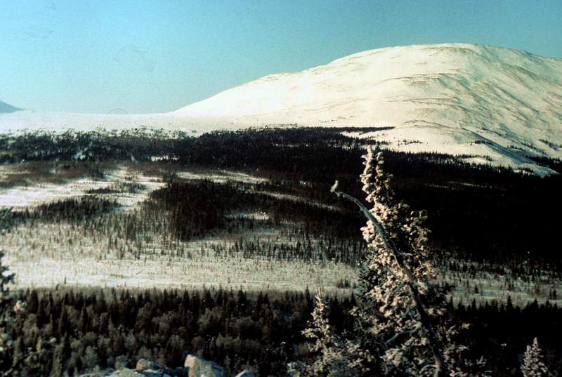 http://www.southural.ru/photos/photos/1066.jpg