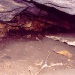 пещерынаАркаиме