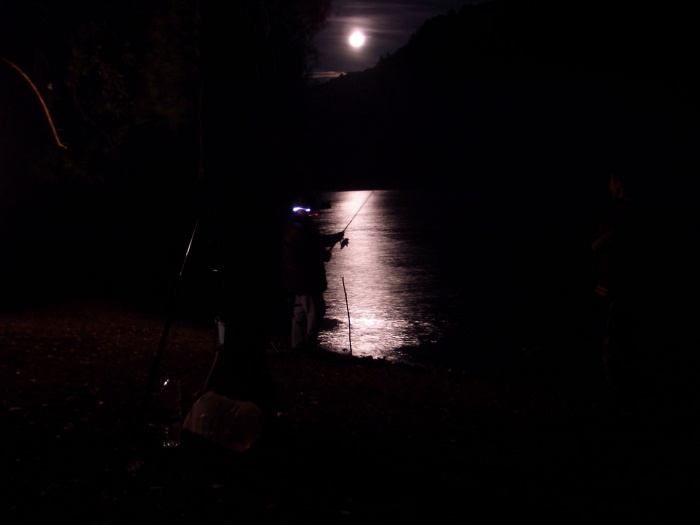 ночная рыбалка