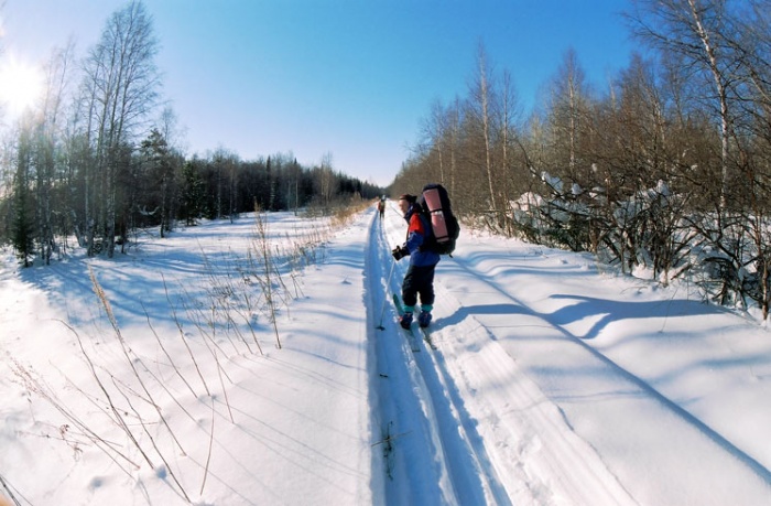 2006год. февраль. примерно 83 км узкоколейки Самодуровка (Катав-Ивановск) - 87 км (Верхнеаршинск).