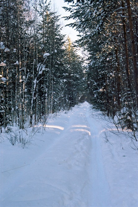 февраль 2006г. 72 км участка БЖД самодуровка - 87 км .