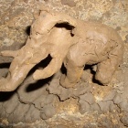 Пещерный Мамонт