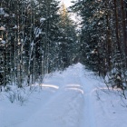 февраль 2006г. 72 км участка БЖД самодуровка - 87 км .