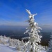 насевередиком...