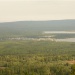 видсгоры