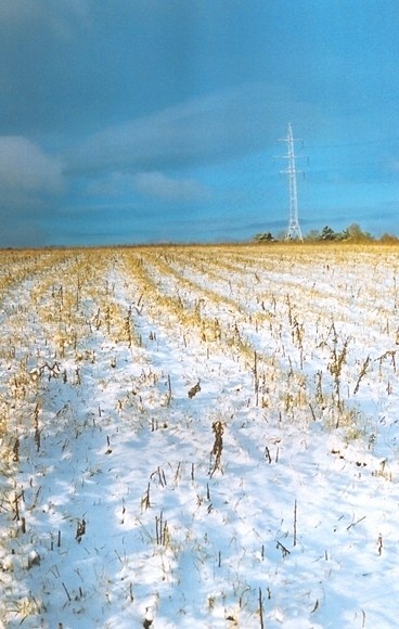 Поле