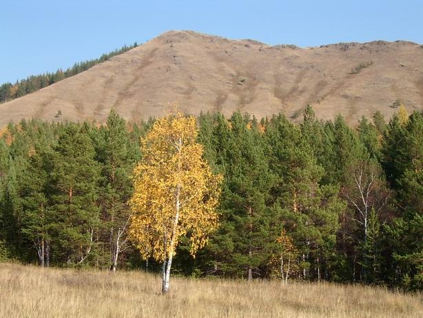 хр. Нурали. Осень