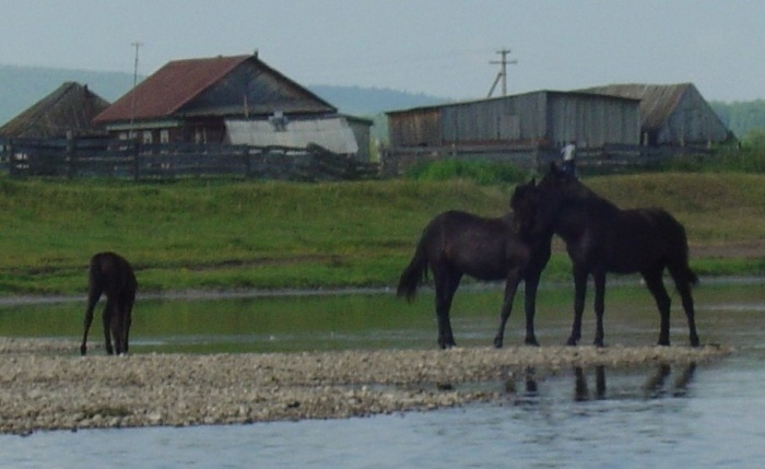 на реке