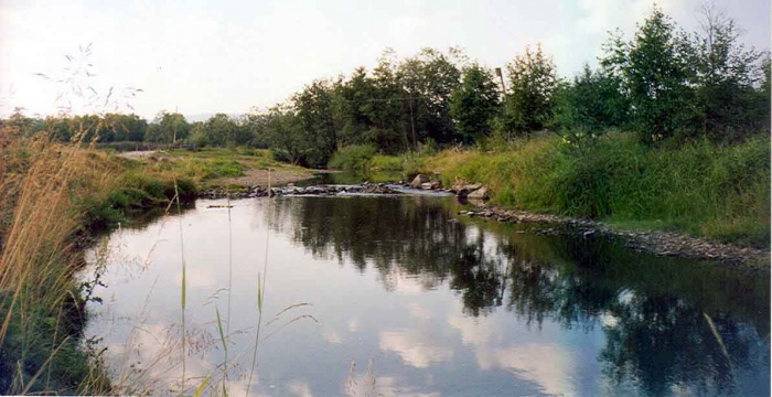 Речка Куштумга