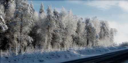 по дороге в Абзаково