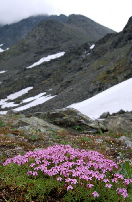 Не замерзнем