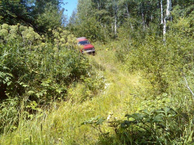 Грязной заросшей травой обочиной они