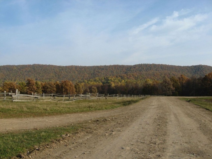 золотая осень