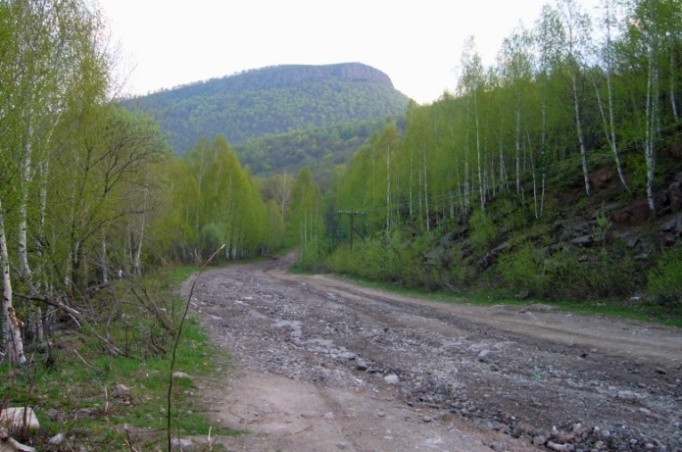 Дорога вполне сносная