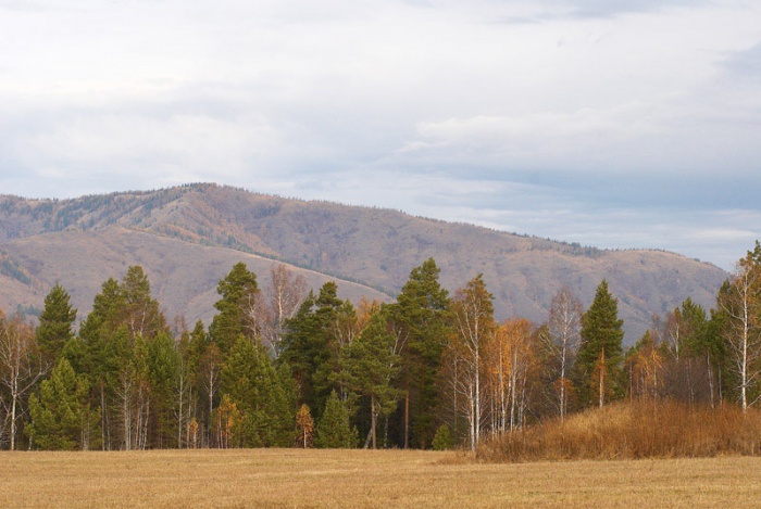 хр. Бол. Крака