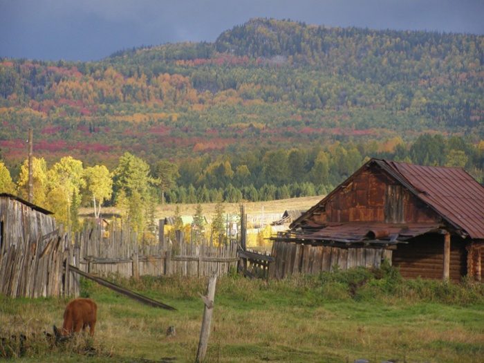 Осень