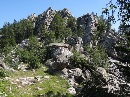 Александровская сопка. Вершина.