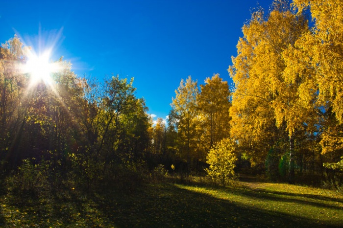 горное ущелье