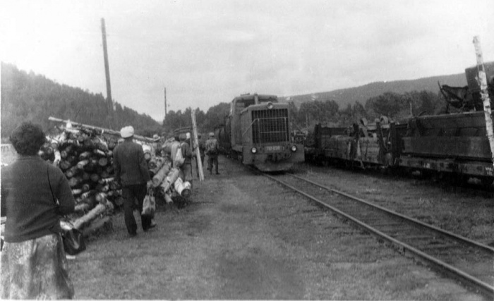 Прибытие поезда из Тирляна на станцию Шушпа.