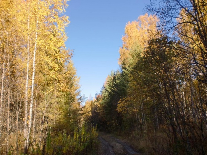 Утро, дорога в Зигальгу.29.09.2012