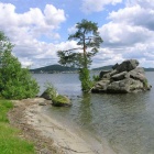 Озеро, Остров, Сосна.