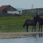 на реке