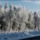 по дороге в Абзаково