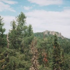 Скалы на хребтике между Инзерскими Зубчатками и Кумардаком