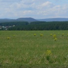 Тирлян