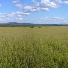 Башкирия