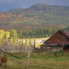 Осень